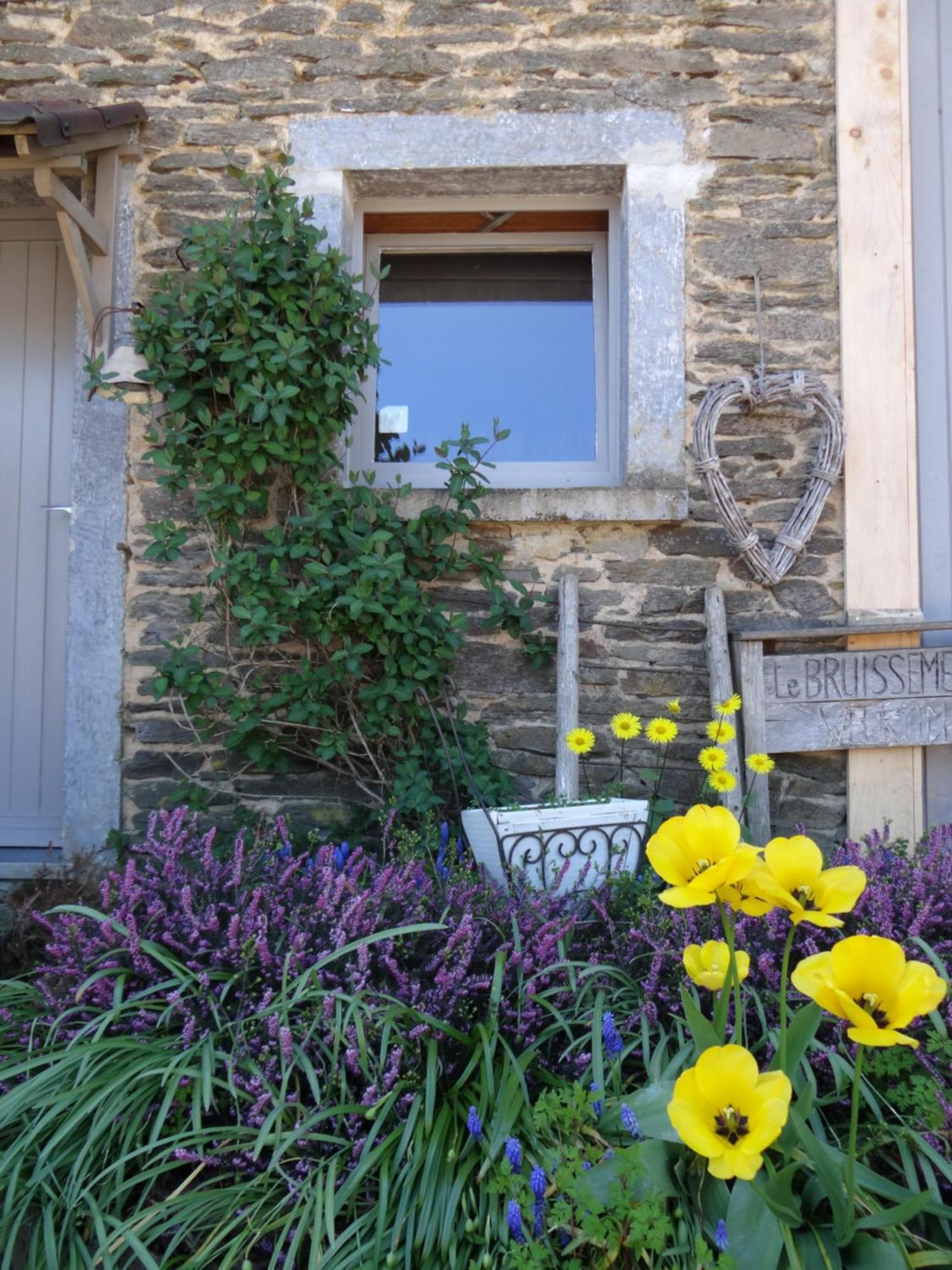 B&B Le Bruissement Bièvre Zewnętrze zdjęcie